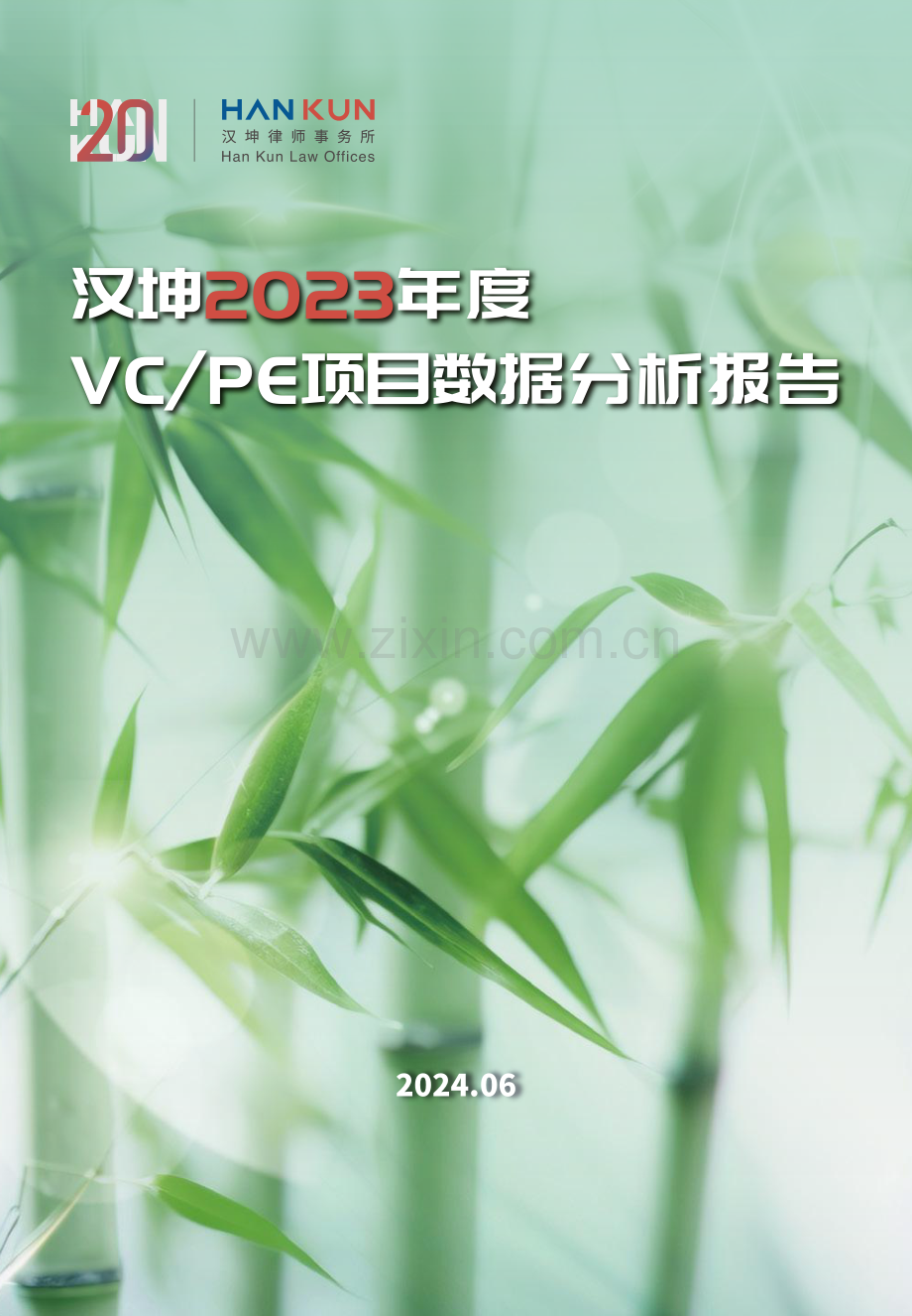 2023年度VCPE项目数据分析报告.pdf_第1页