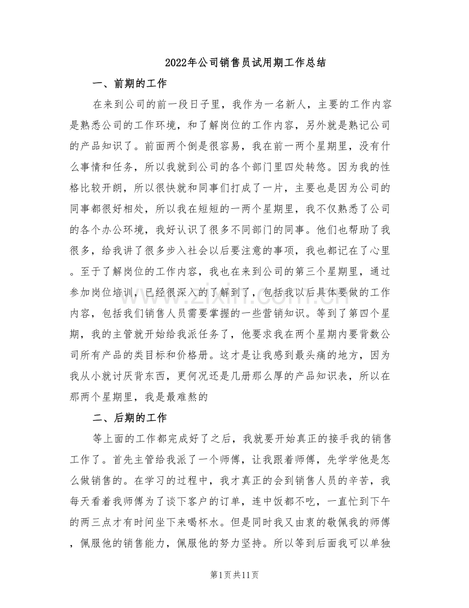 2022年公司销售员试用期工作总结.doc_第1页