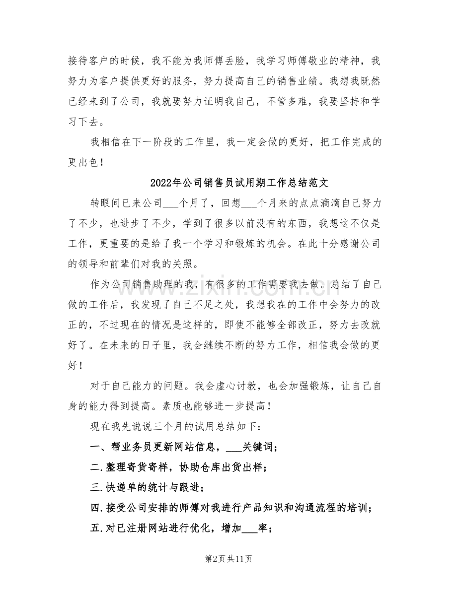 2022年公司销售员试用期工作总结.doc_第2页