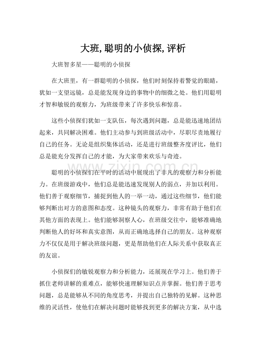 大班,聪明的小侦探,评析.docx_第1页