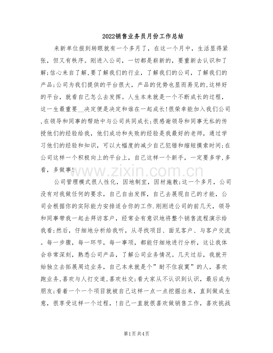 2022销售业务员月份工作总结.doc_第1页