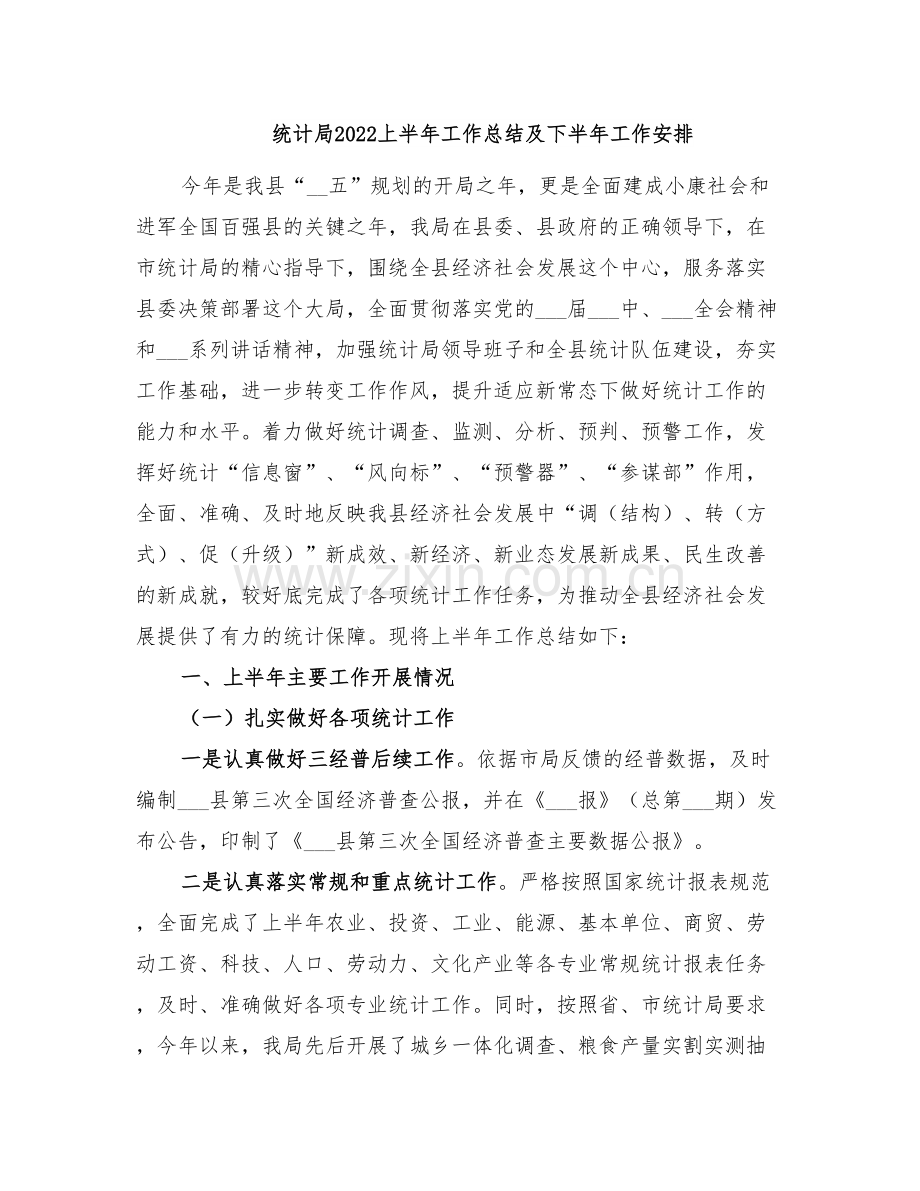 统计局2022上半年工作总结及下半年工作安排.doc_第1页