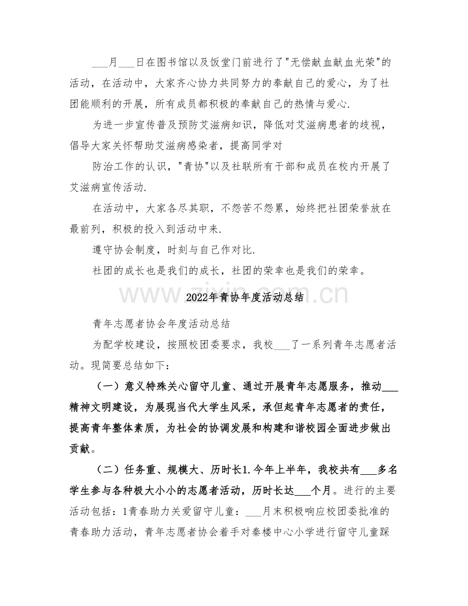 2022年青协年度总结范文.doc_第2页