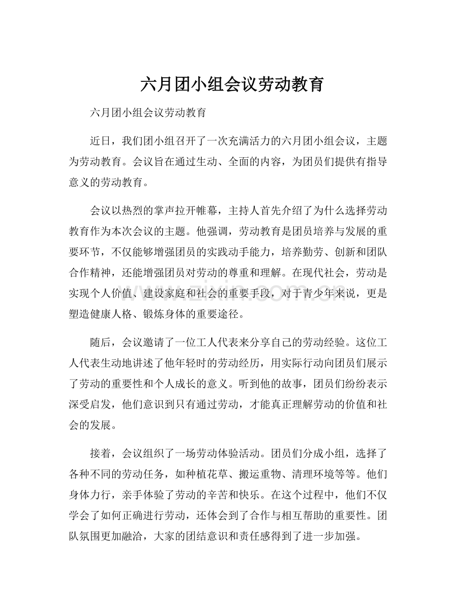 六月团小组会议劳动教育.docx_第1页