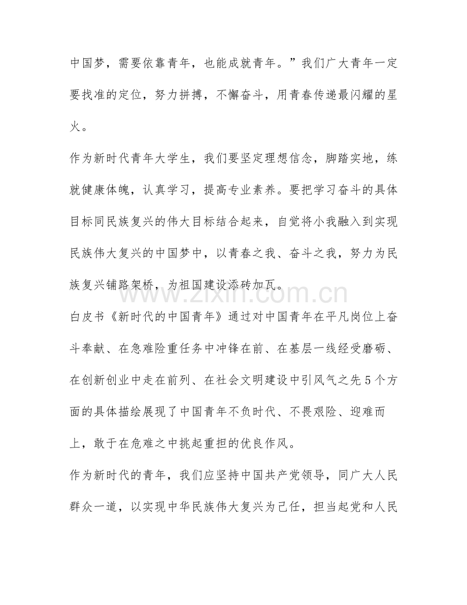 2022年新时代的中国青年白皮书读书心得体会精选五篇.docx_第2页