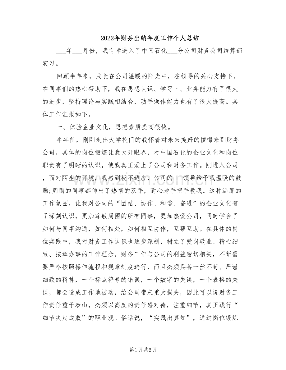 2022年财务出纳年度工作个人总结.doc_第1页