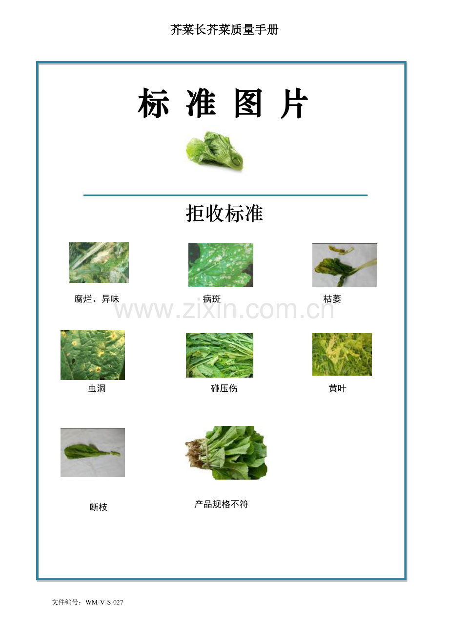 89quality-manual-Chinese芥菜长芥菜菜质量手册验收标准.doc_第2页