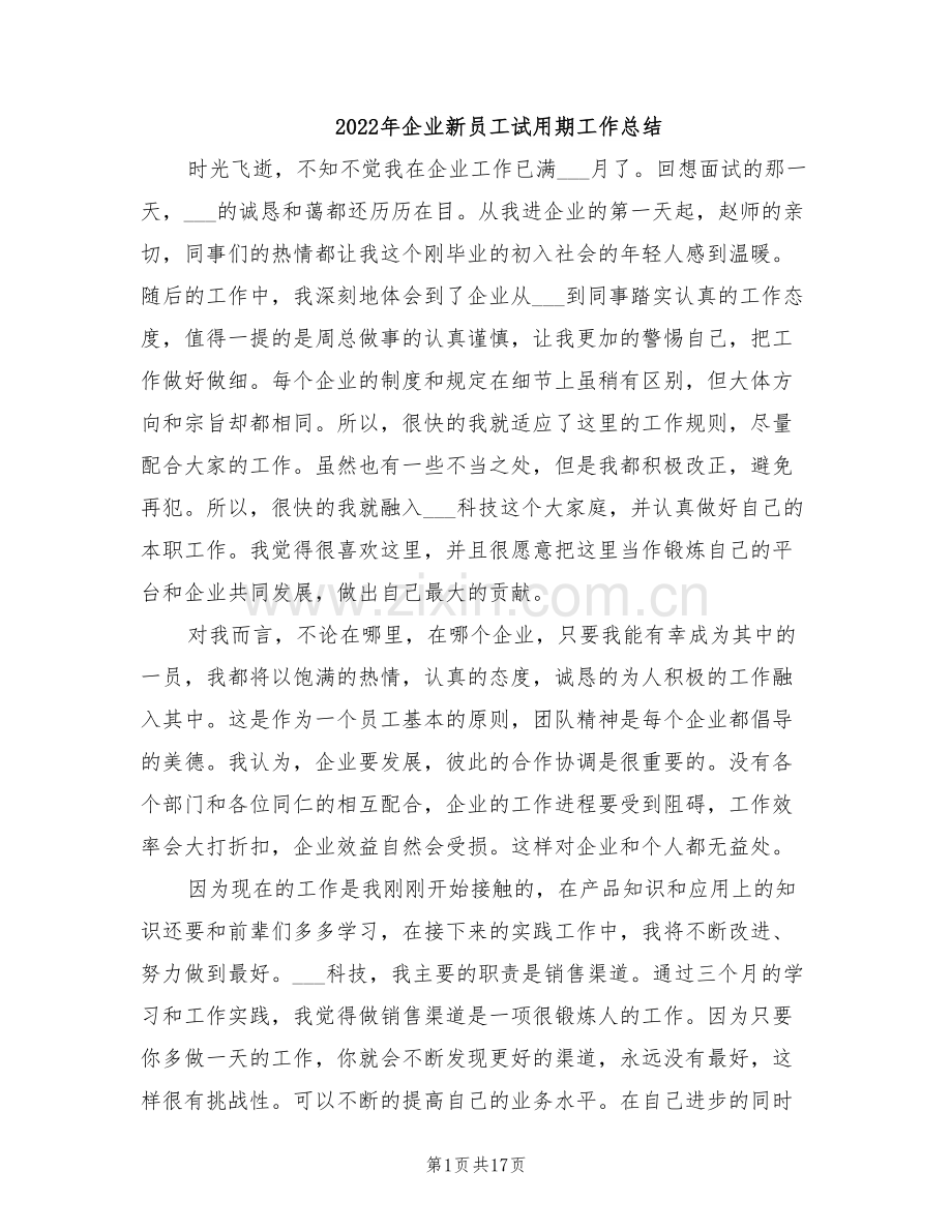 2022年企业新员工试用期工作总结.doc_第1页