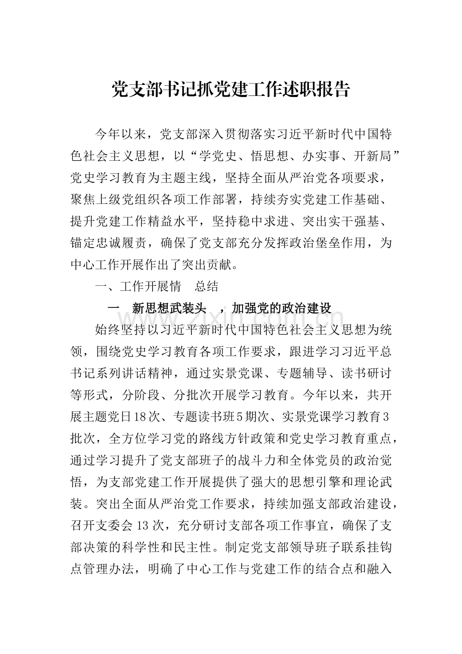 党支部书记抓党建工作述职报告.docx_第1页