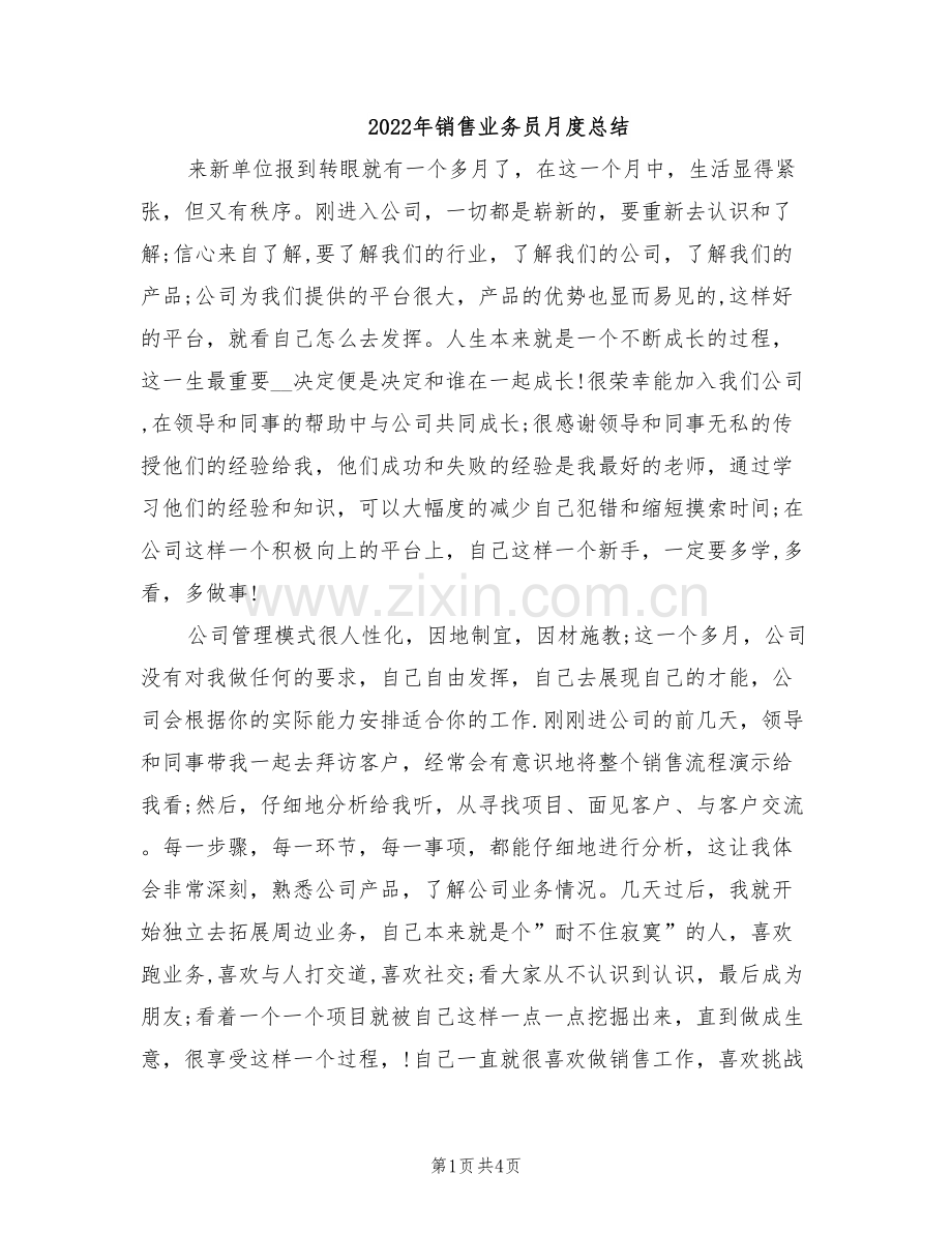 2022年销售业务员月度总结.doc_第1页