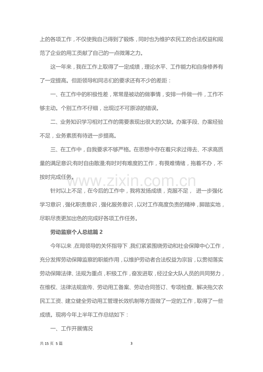 劳动监察工作个人总结.docx_第3页