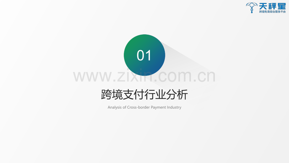 2019跨境支付白皮书.pdf_第3页