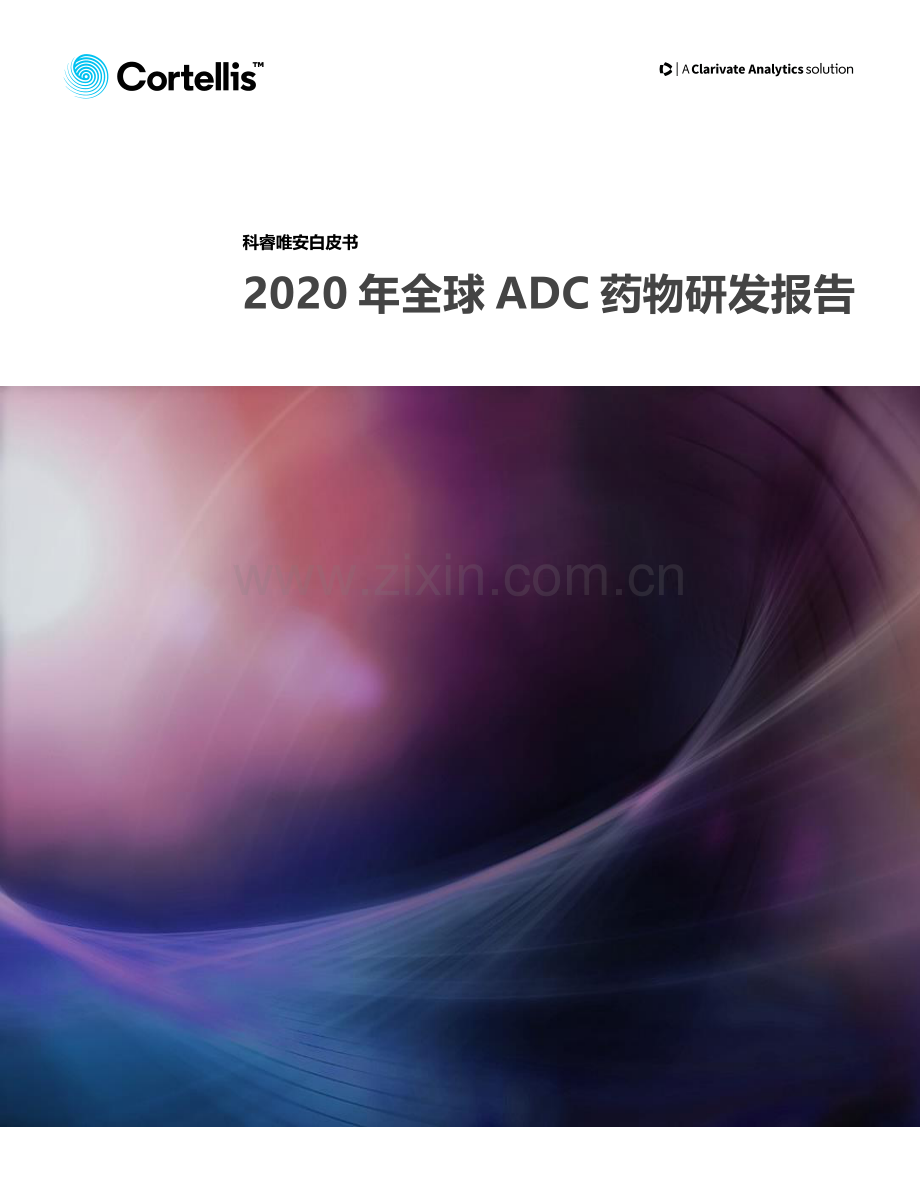 2020年全球ADC药物研发报告.pdf_第1页