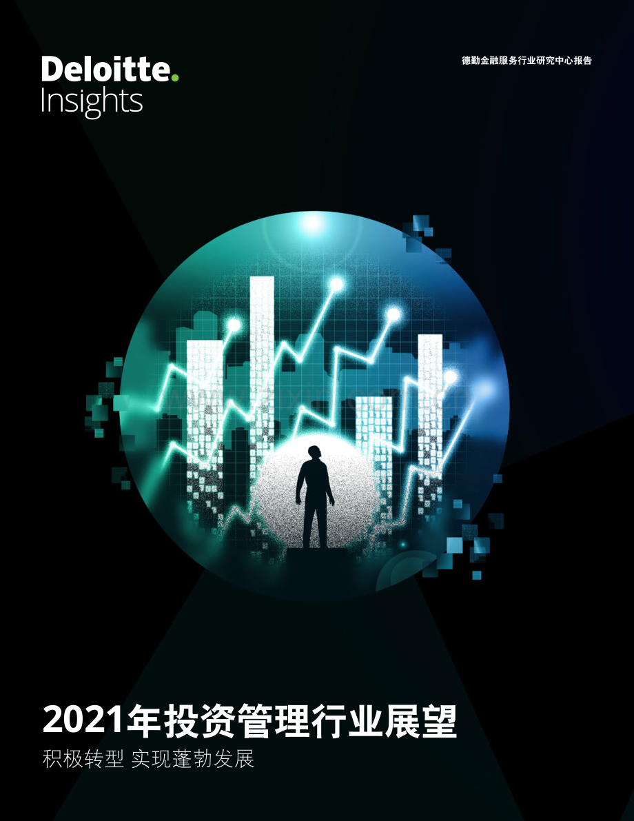 2021年投资管理行业展望.pdf_第1页