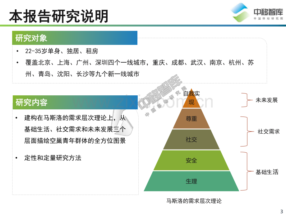 空巢青年研究报告.pdf_第3页