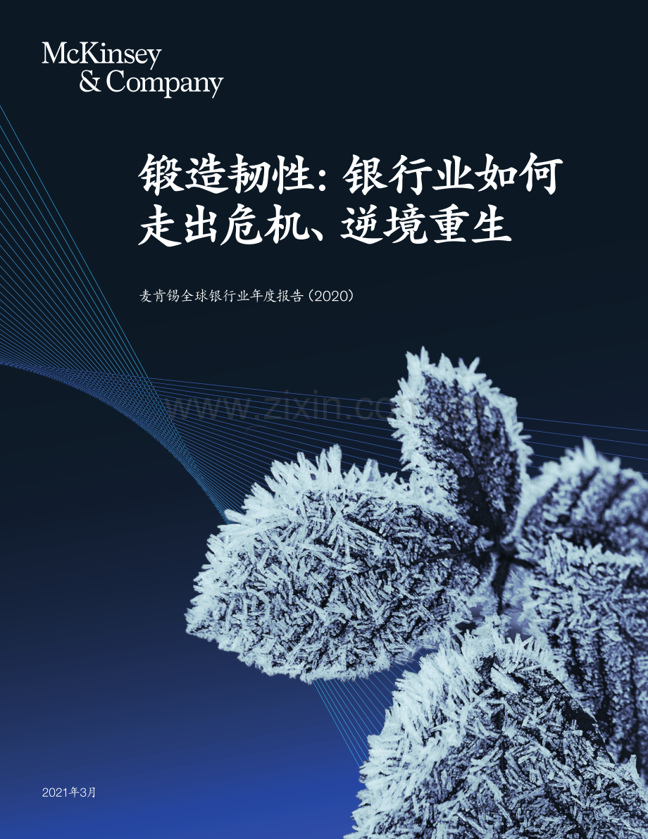 麦肯锡全球银行业年度报告.pdf_第1页