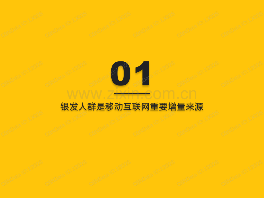 2020银发经济洞察报告.pdf_第2页