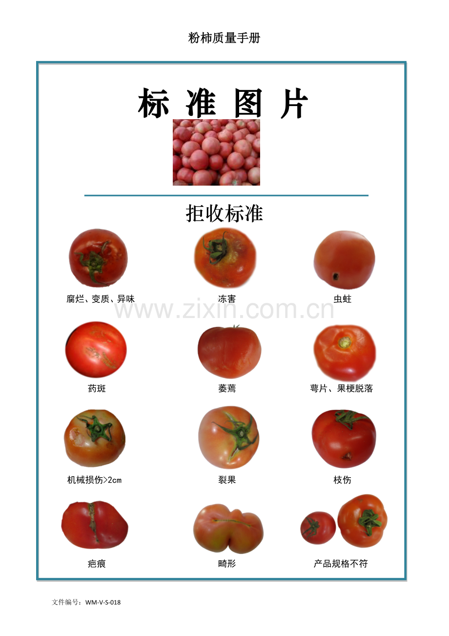 47quality-manual-Tomato粉柿质量手册验收标准.doc_第2页