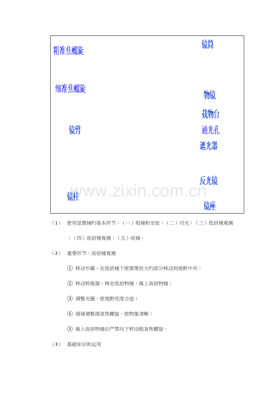 2023年高中生物必修一全套笔记docx.doc_第2页