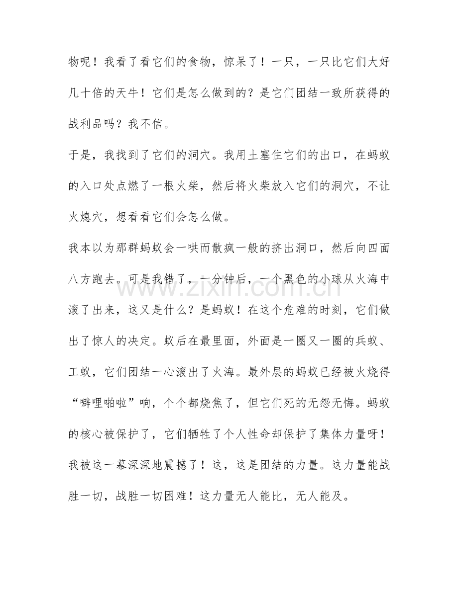 关于蚂蚁团结精神的作文汇总400字4篇.docx_第2页