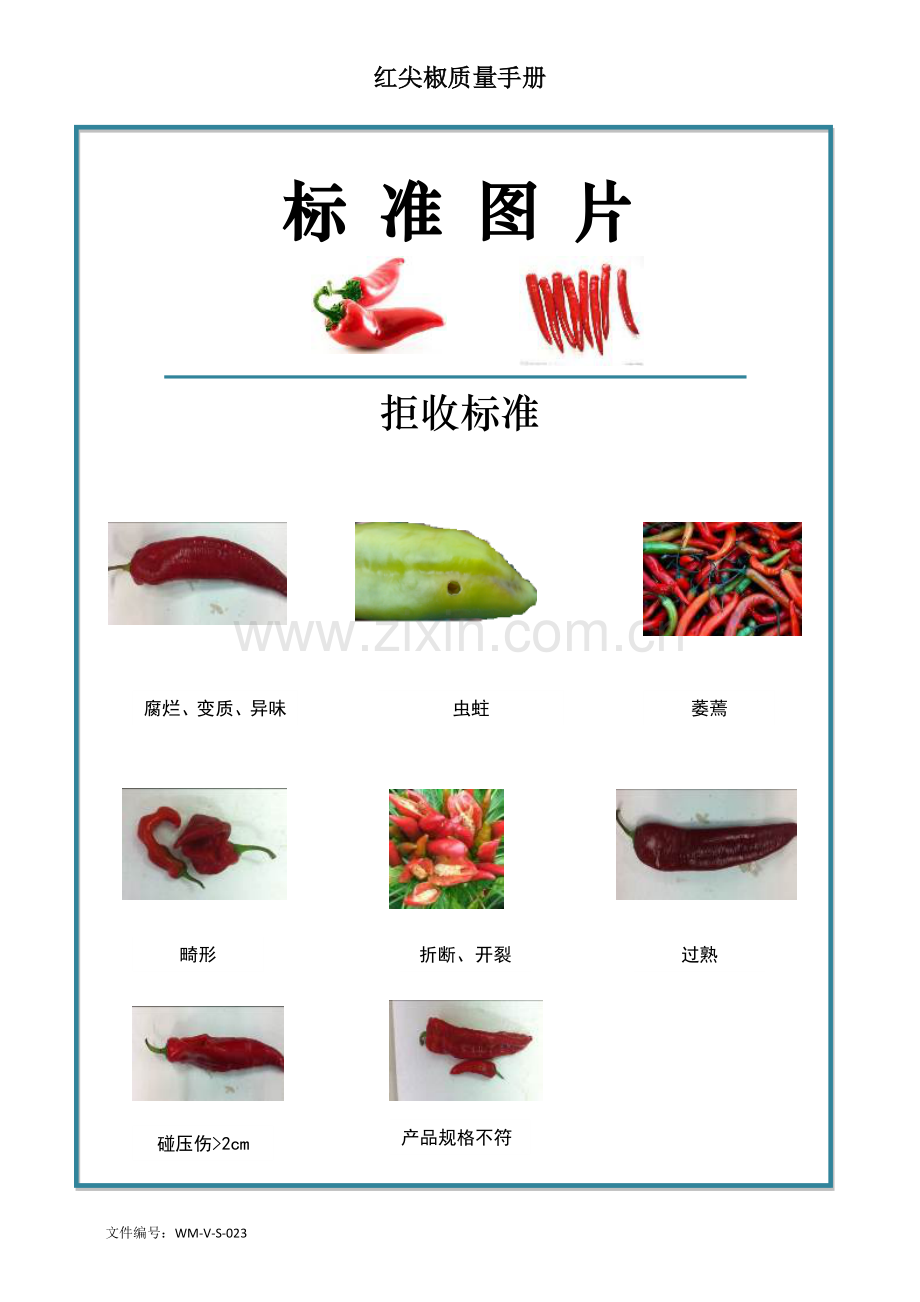 60quality-manual-Green-pepper红尖椒红泡椒质量手册验收标准.doc_第2页