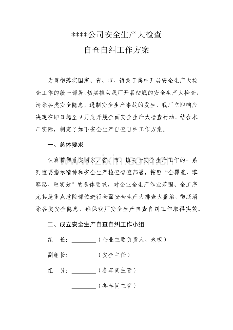 公司安全生产大检查自查自纠工作方案.docx_第1页