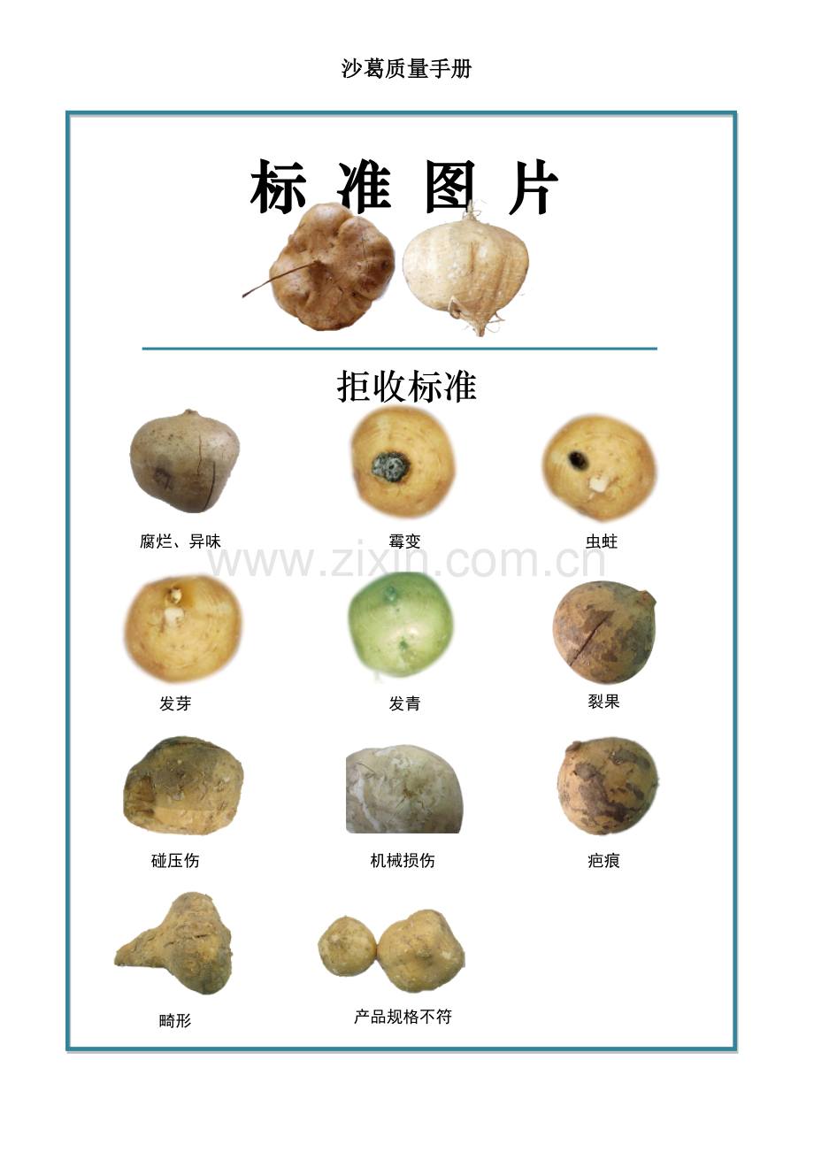 32quality-manual-Yam-bean沙葛质量手册验收标准.doc_第2页