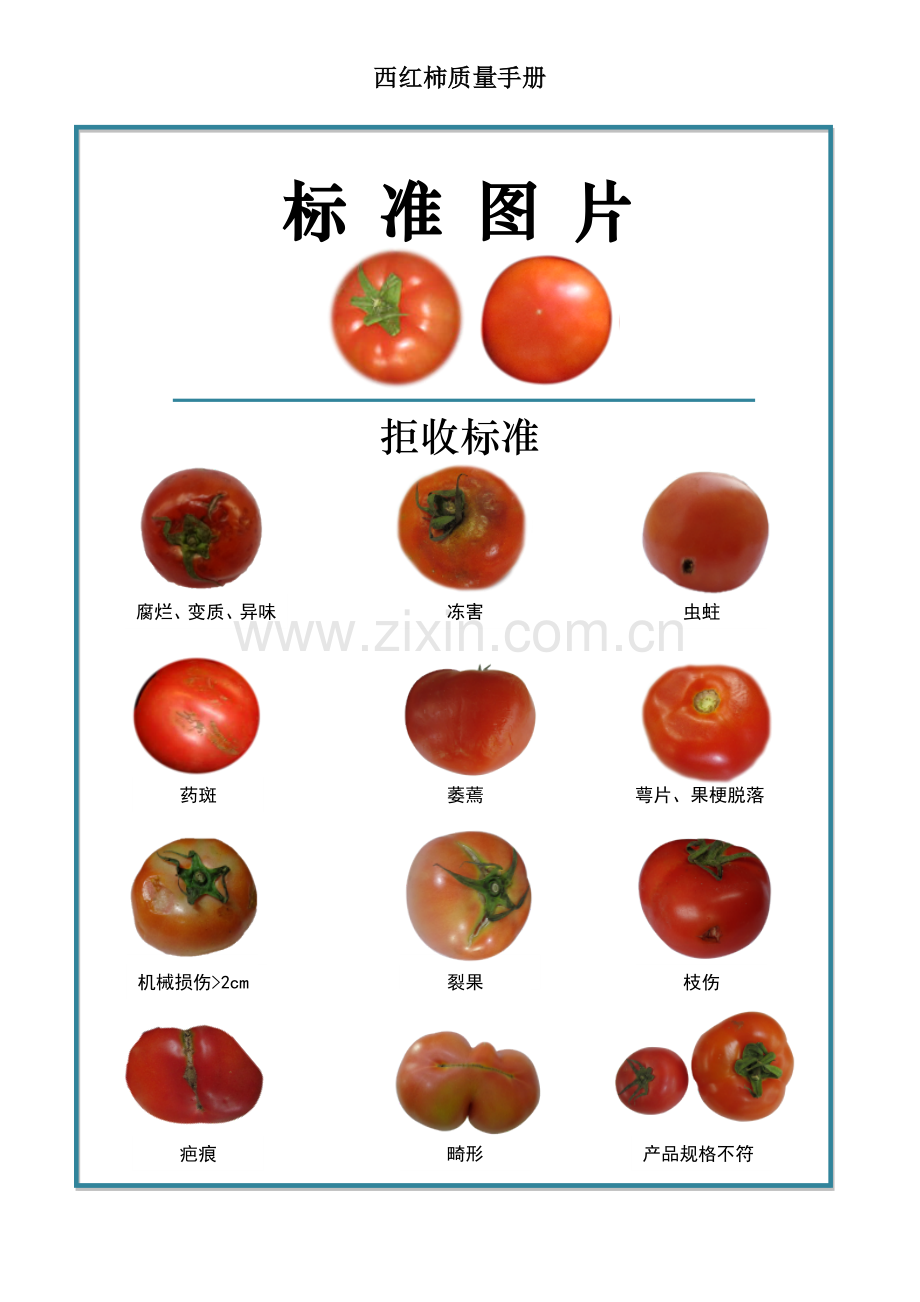 18quality-manual-Tomato西红柿质量手册验收标准.doc_第2页