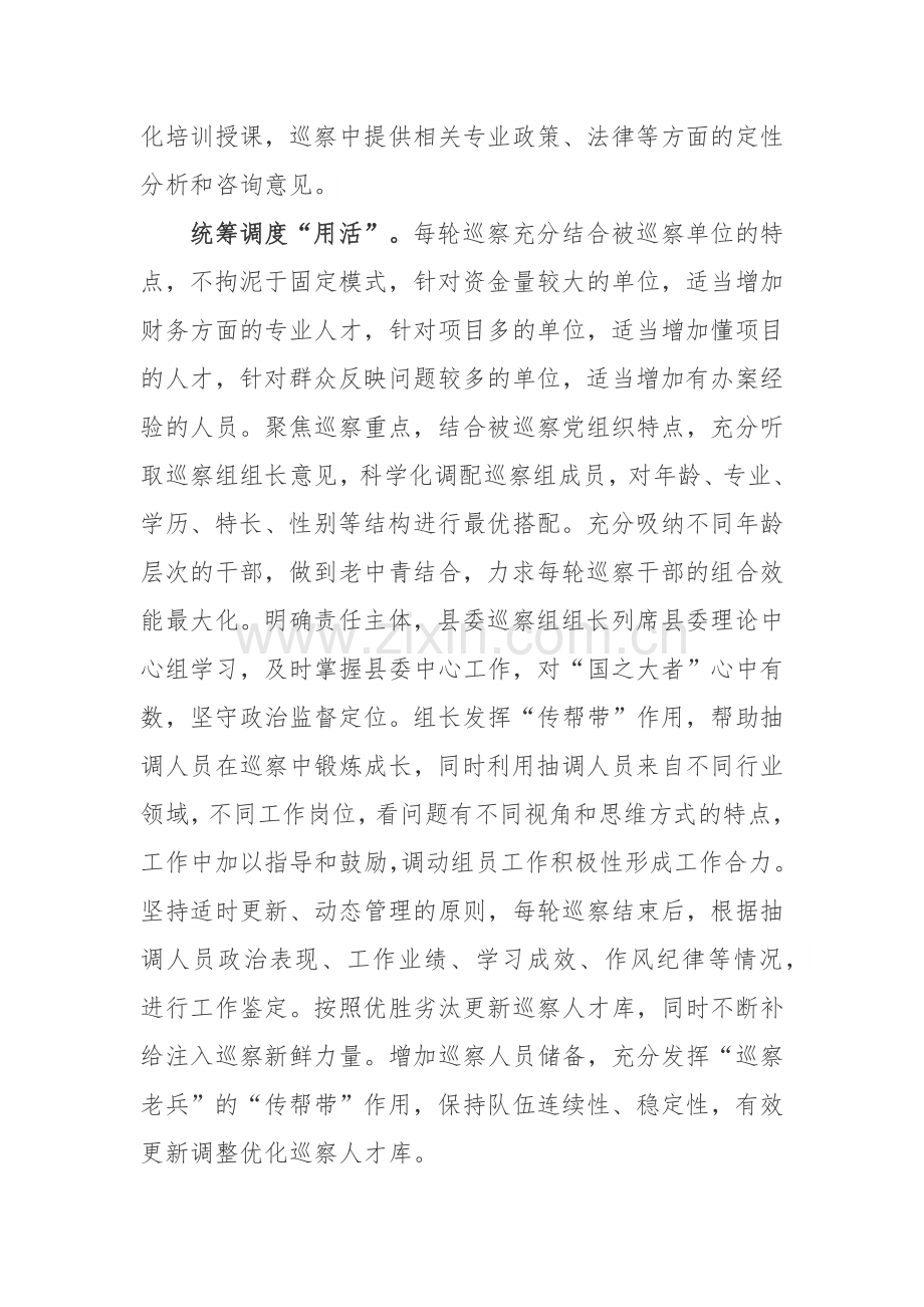 打造高质量巡察人才库工作总结.docx_第2页