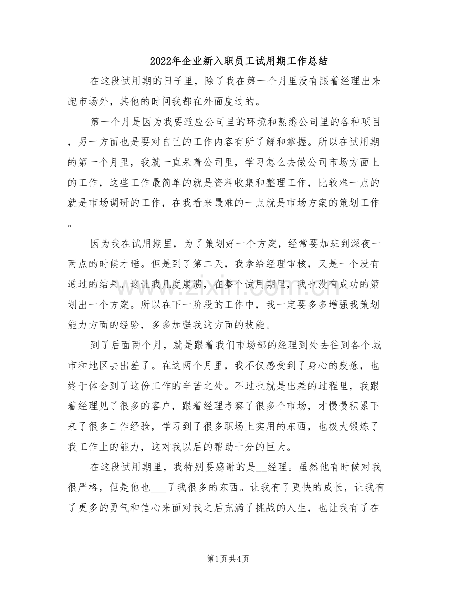 2022年企业新入职员工试用期工作总结.doc_第1页