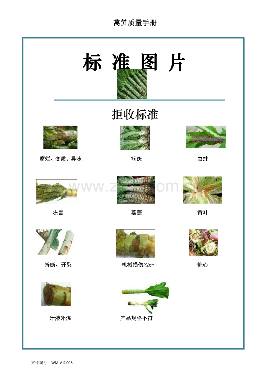 70quality-manual-asparagus-lettuce-莴笋标准验收标准.doc_第2页