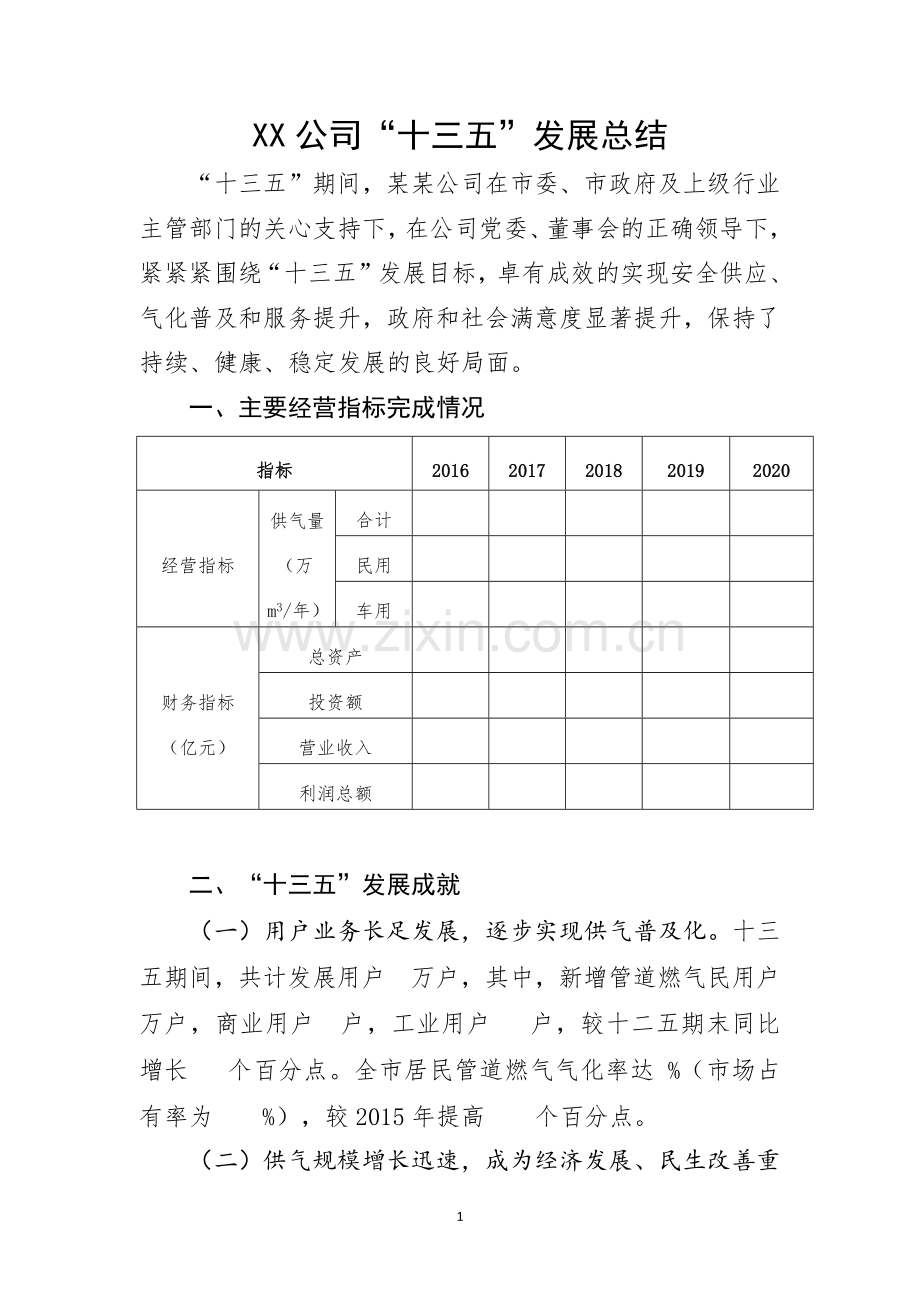 XX公司“十三五”发展总结.docx_第1页