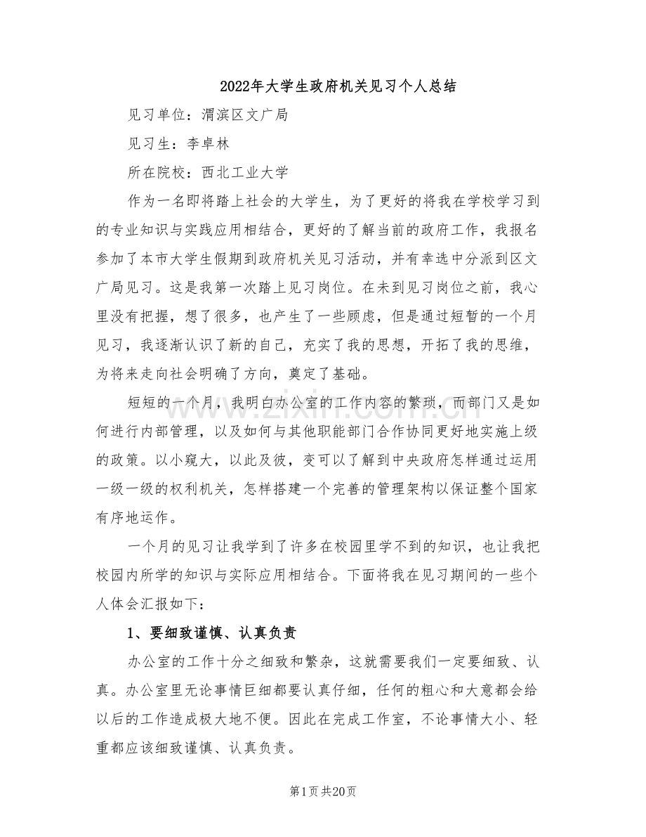 2022年大学生政府机关见习个人总结.doc_第1页