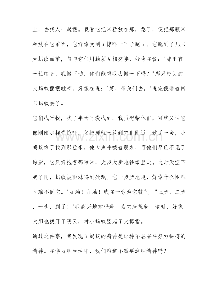 关于蚂蚁团结精神的作文大合集4篇.docx_第2页