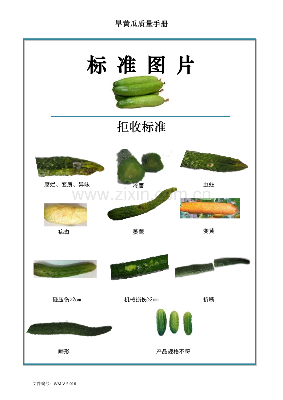 46quality-manual-Cucumber旱黄瓜质量手册验收标准.doc_第2页