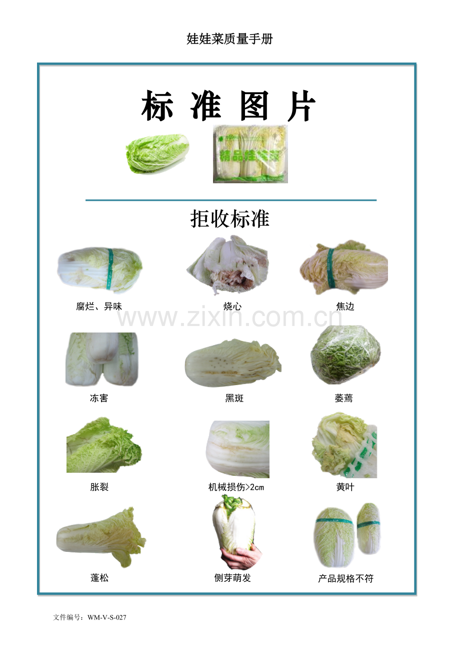 64quality-manual-Chinese-cabbage娃娃菜质量手册验收标准.doc_第2页