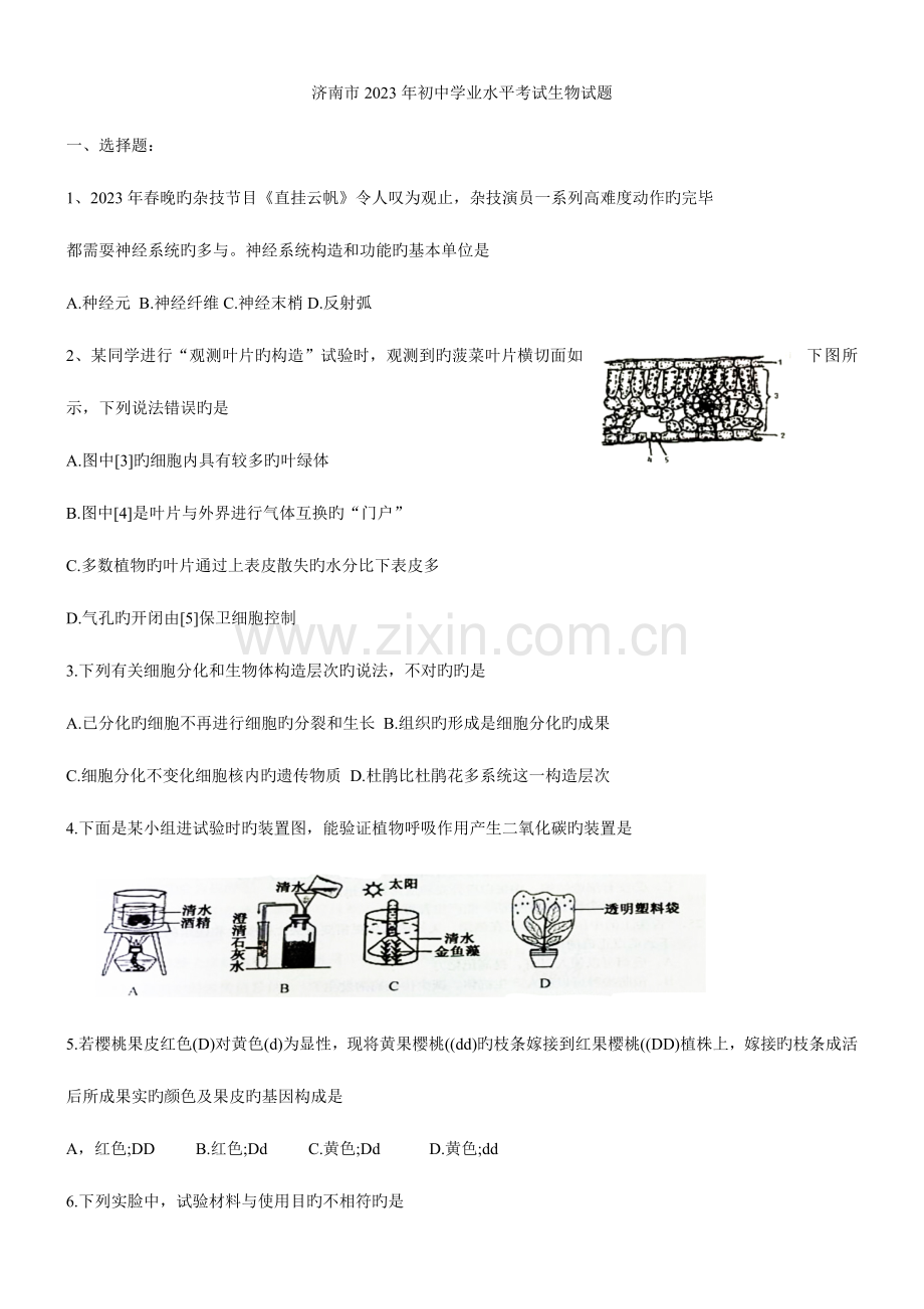 2023年济南市初中学业水平考试生物试题及答案.doc_第1页