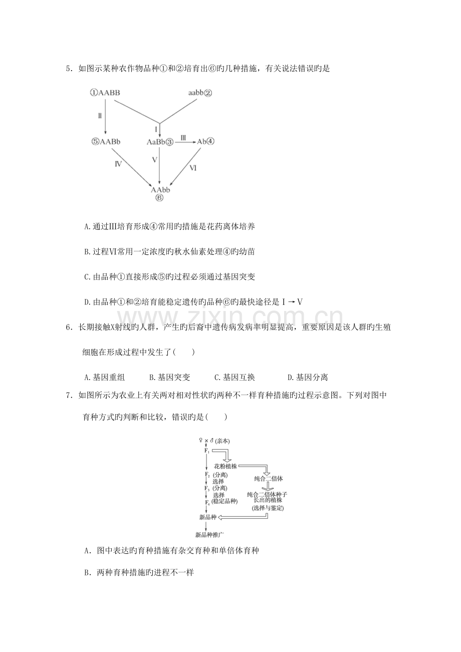 2023年新版高一生物遗传与进化知识点习题演练.doc_第2页