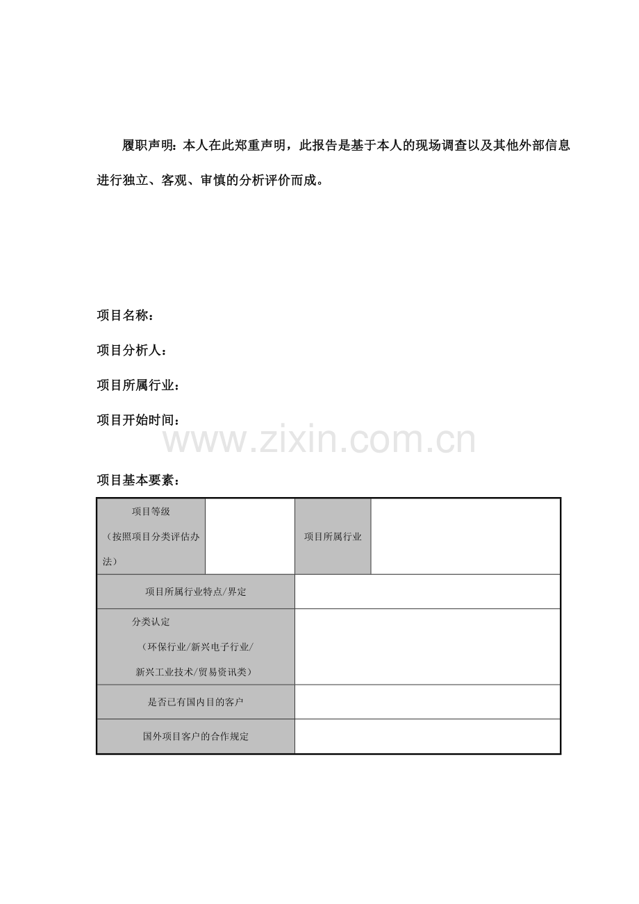 项目分析报告模板.doc_第2页