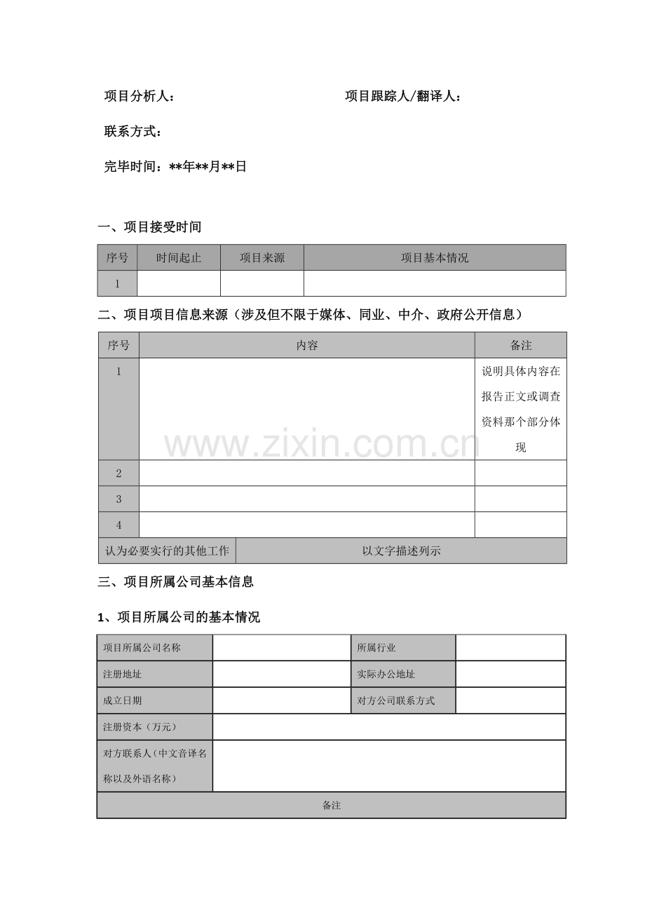 项目分析报告模板.doc_第3页