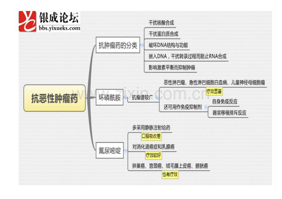 2023年医学思维导图药理学全套完整打印版.doc_第2页