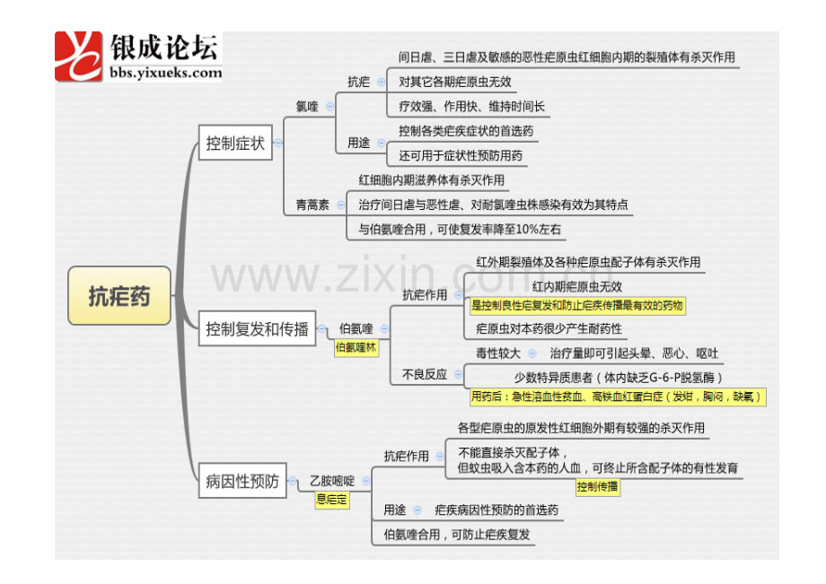 2023年医学思维导图药理学全套完整打印版.doc_第3页