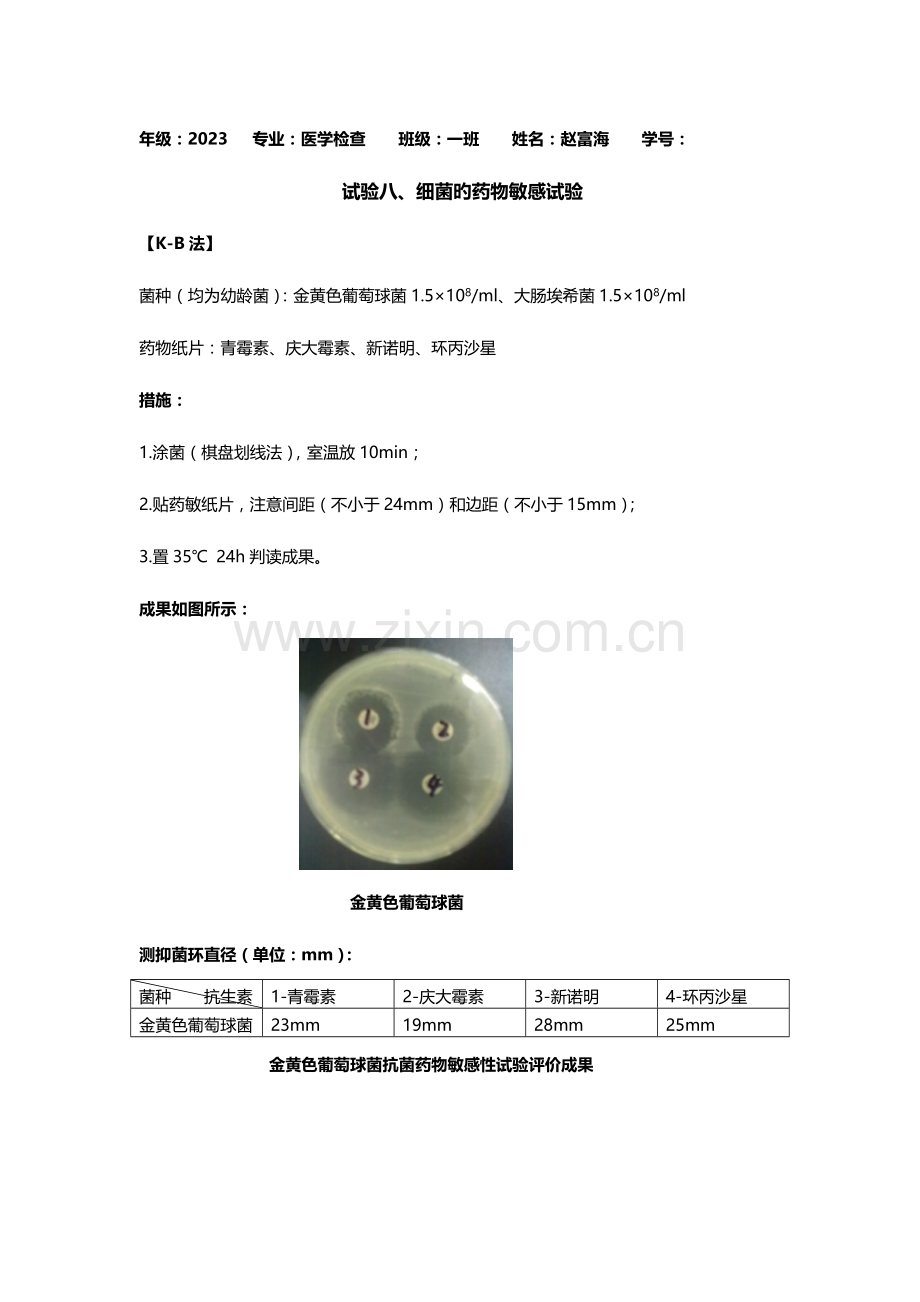 2023年微生物学实验报告第八周.docx_第1页