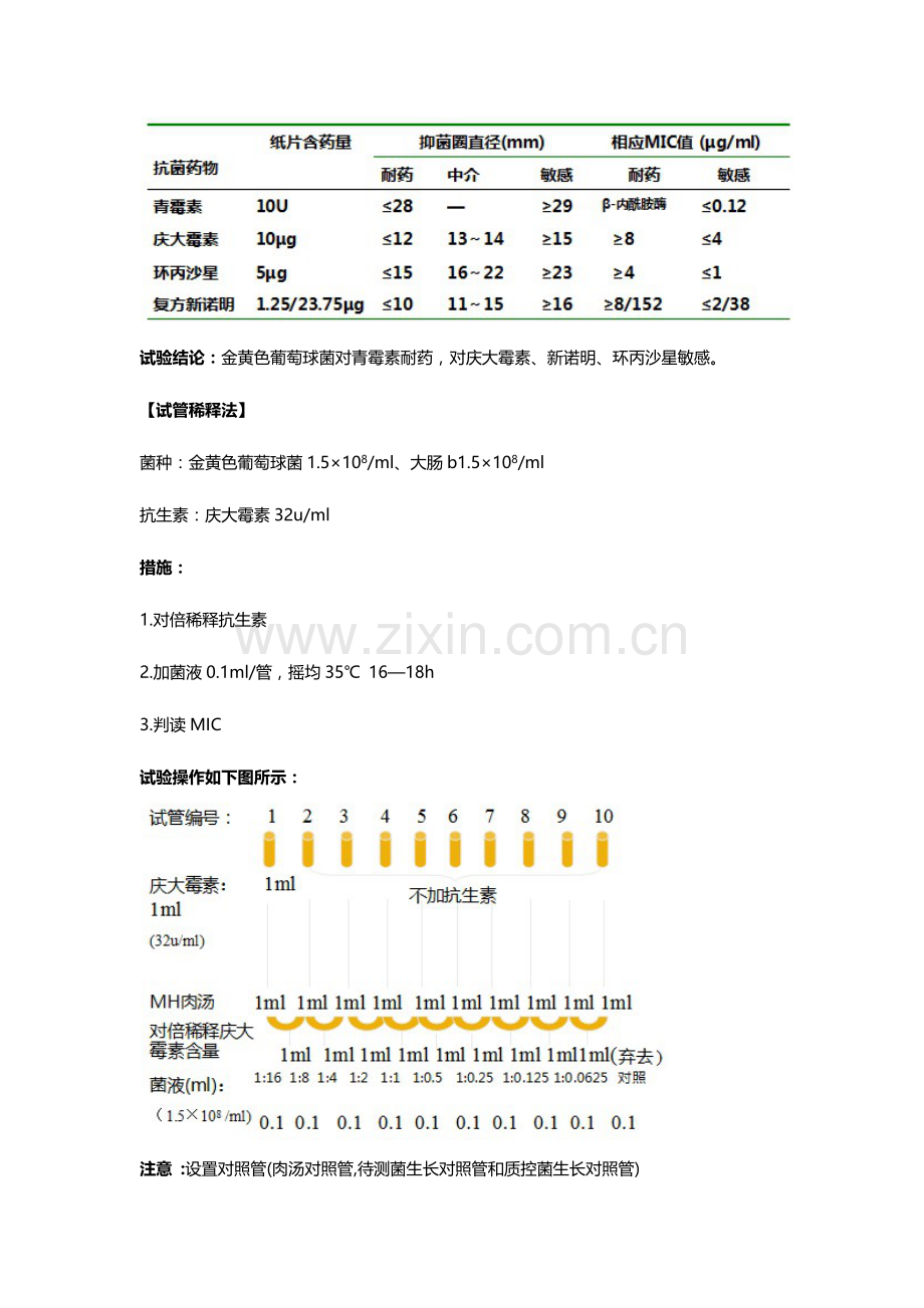 2023年微生物学实验报告第八周.docx_第2页