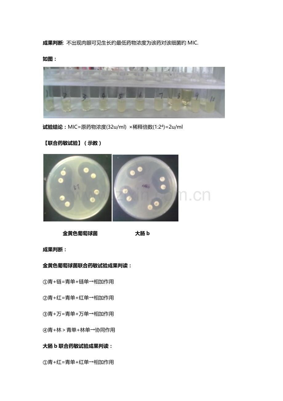 2023年微生物学实验报告第八周.docx_第3页