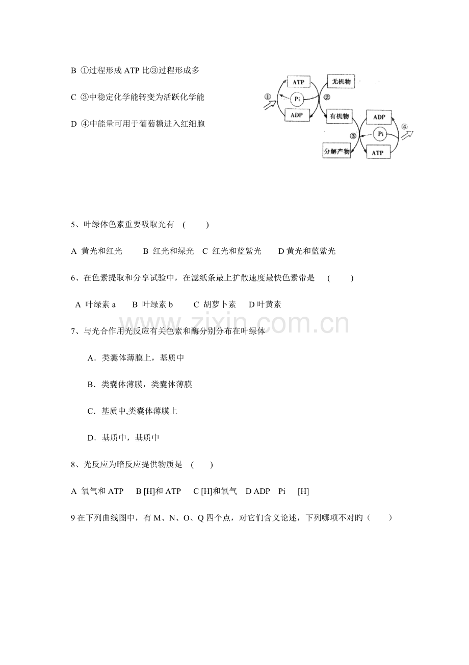 2023年普通高中学业水平测试生物单元卷细胞的能量供应和利用.doc_第2页