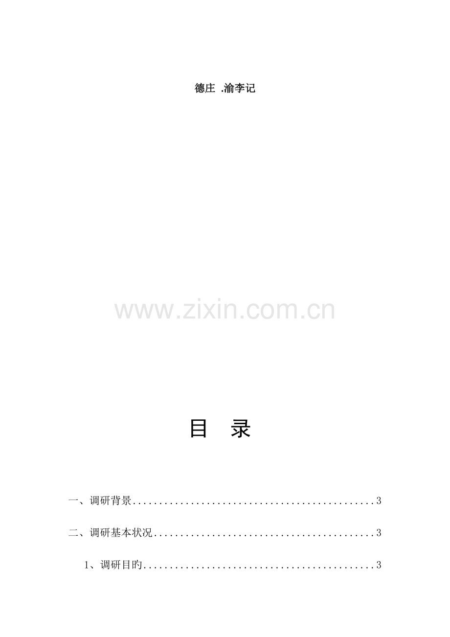 便民服务工程市场调查报告.docx_第2页