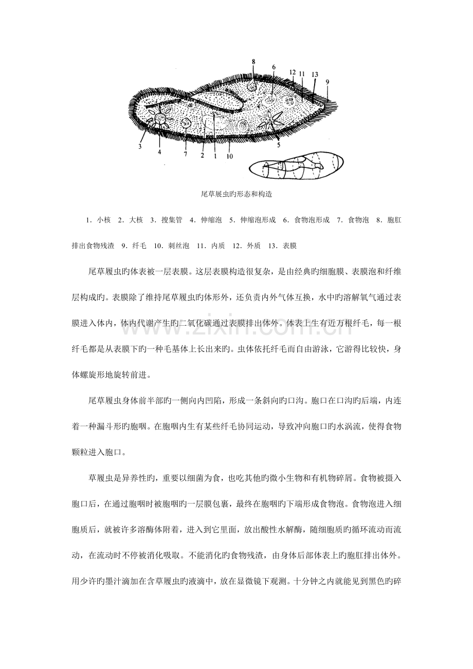 2023年高中生物无脊椎动物竞赛辅导讲座.doc_第3页