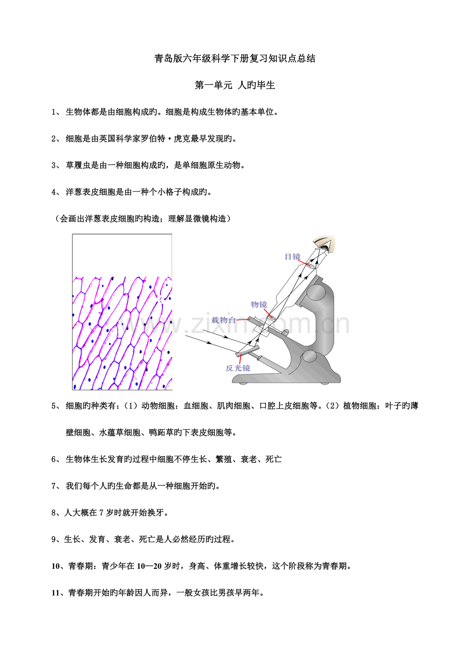 2023年青岛版六年级科学下册各单元知识点.doc_第1页