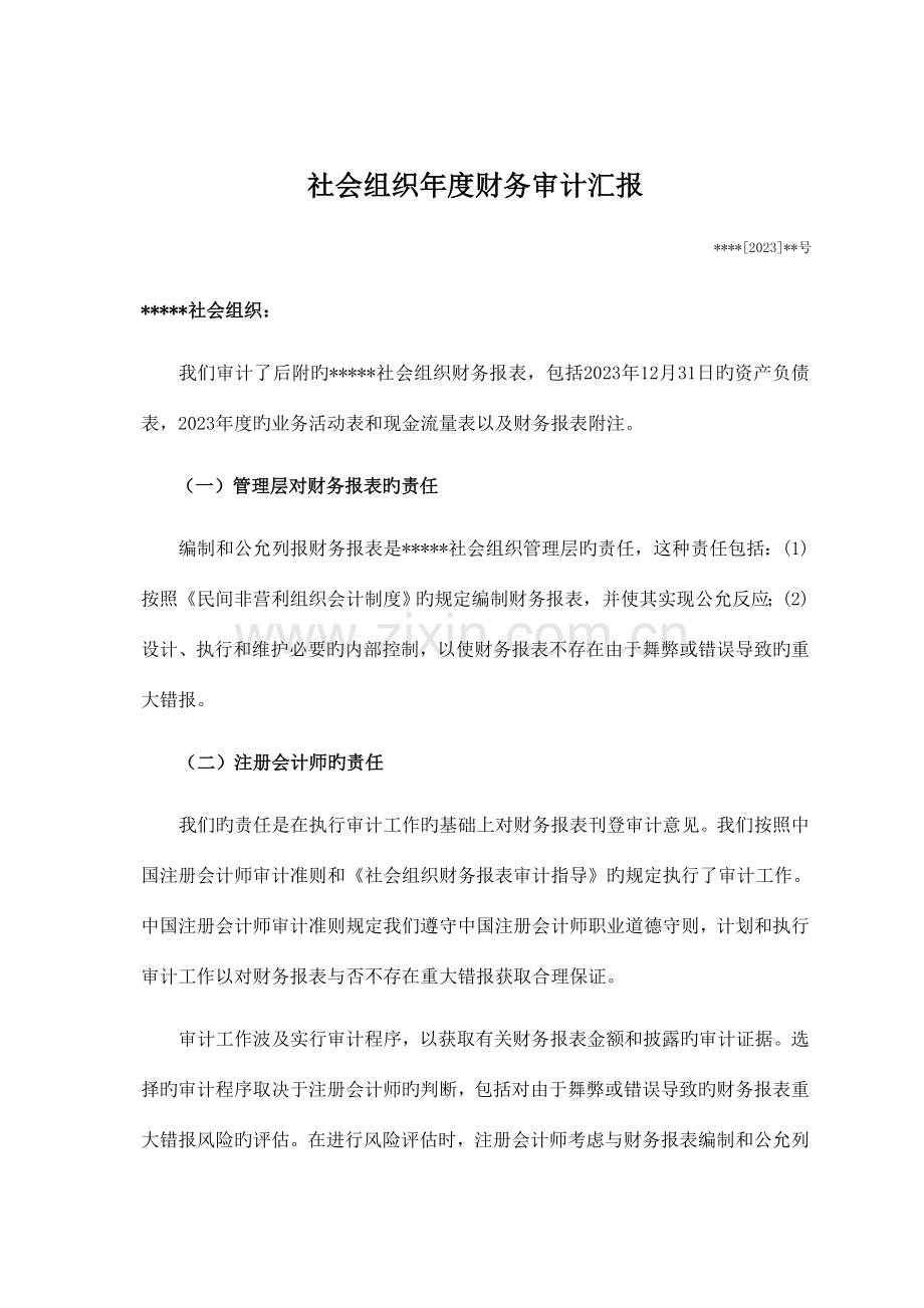 社会组织财务审计报告.doc_第1页